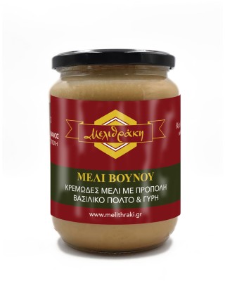 ΜΕΛΙ ΒΟΥΝΟΥ - ΚΡΕΜΩΔΕΣ ΜΕΛΙ ΜΕ ΠΡΟΠΟΛΗ, ΒΑΣΙΛΙΚΟ ΠΟΛΤΟ ΚΑΙ ΓΥΡΗ - 980 gr